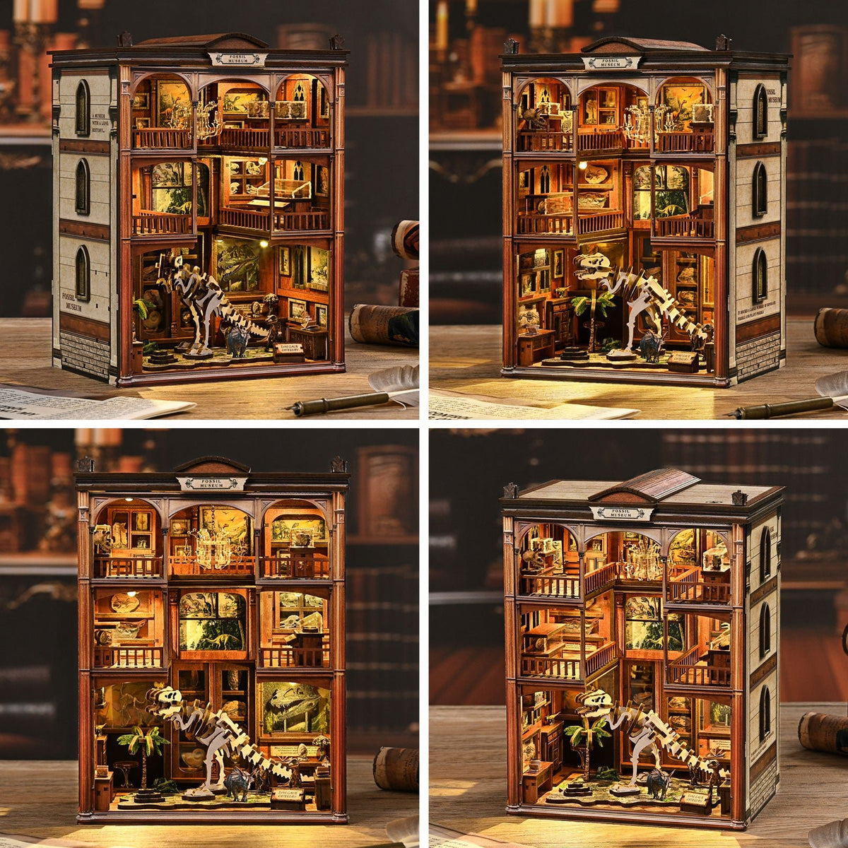 Booknook Fossielenmuseum - Assemblr