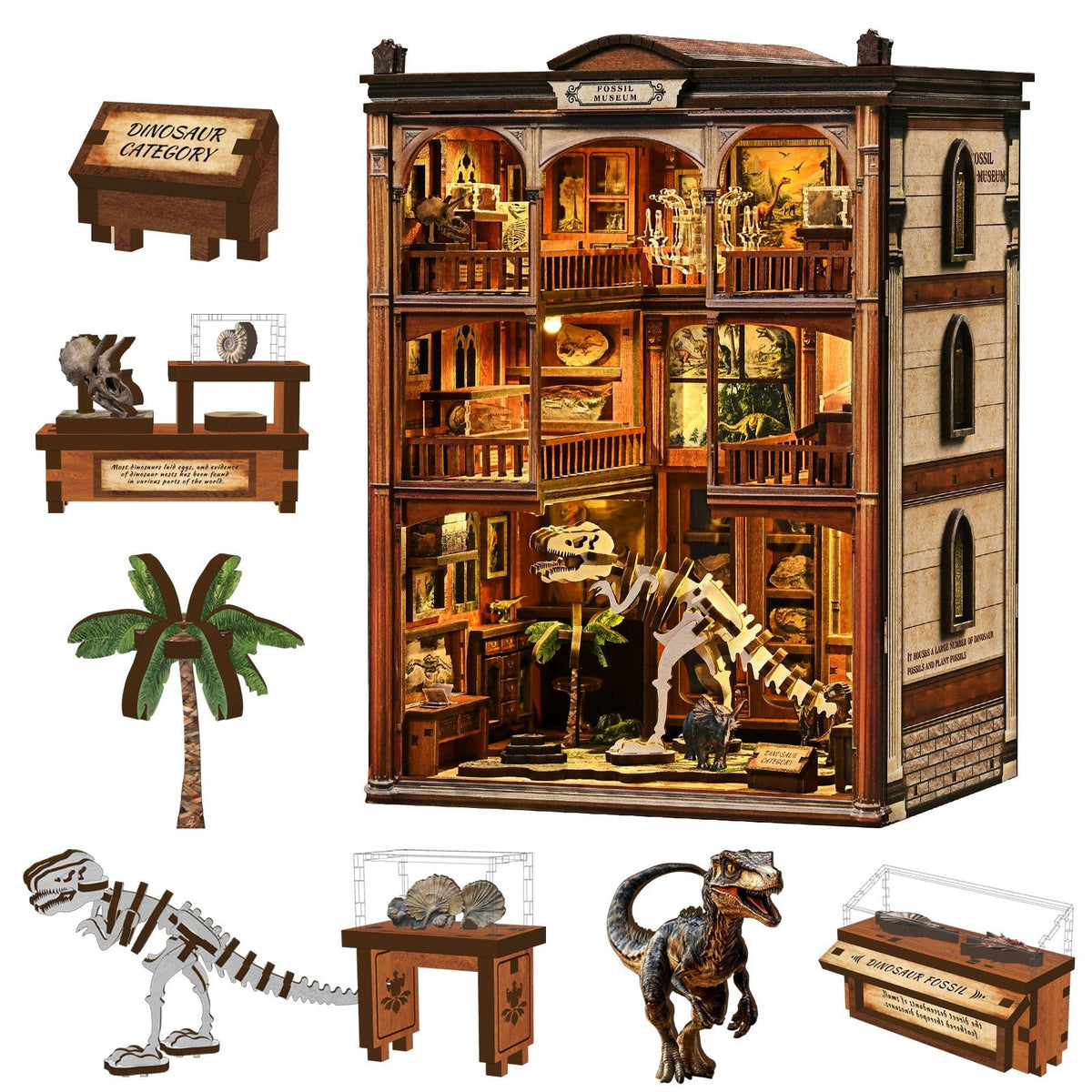Booknook Fossielenmuseum - Assemblr