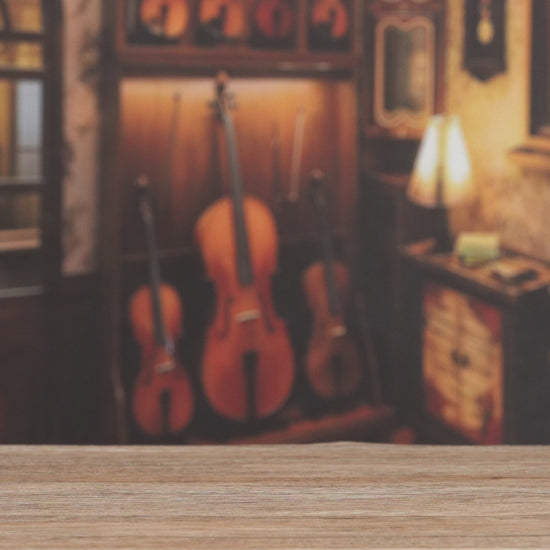 Europese Muziekkamer – productvideo