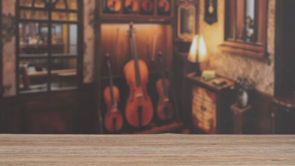 Europese Muziekkamer – productvideo
