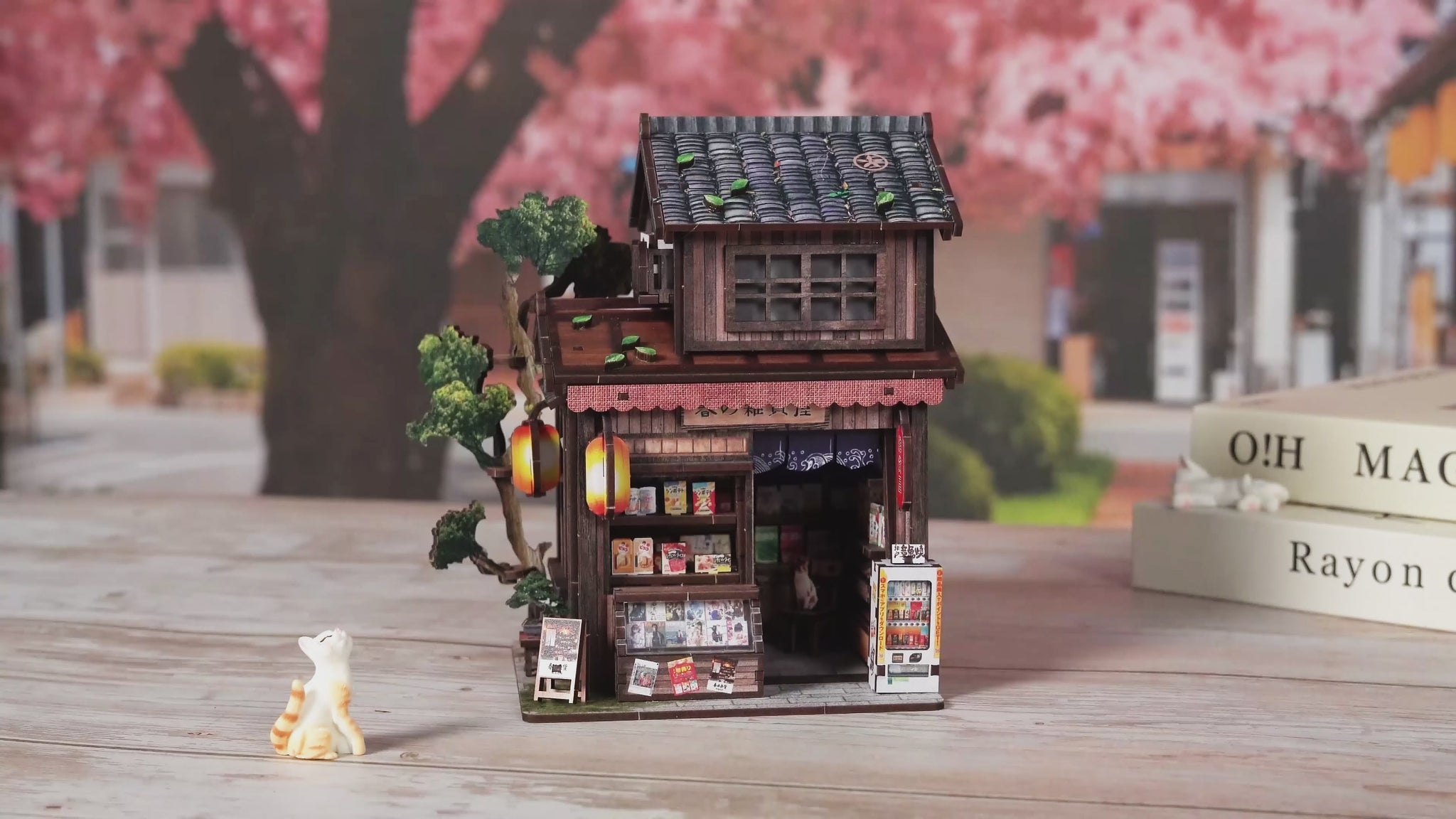 Kasuga Grocery Store – productvideo